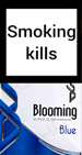 Blooming Blue Cigarette pack